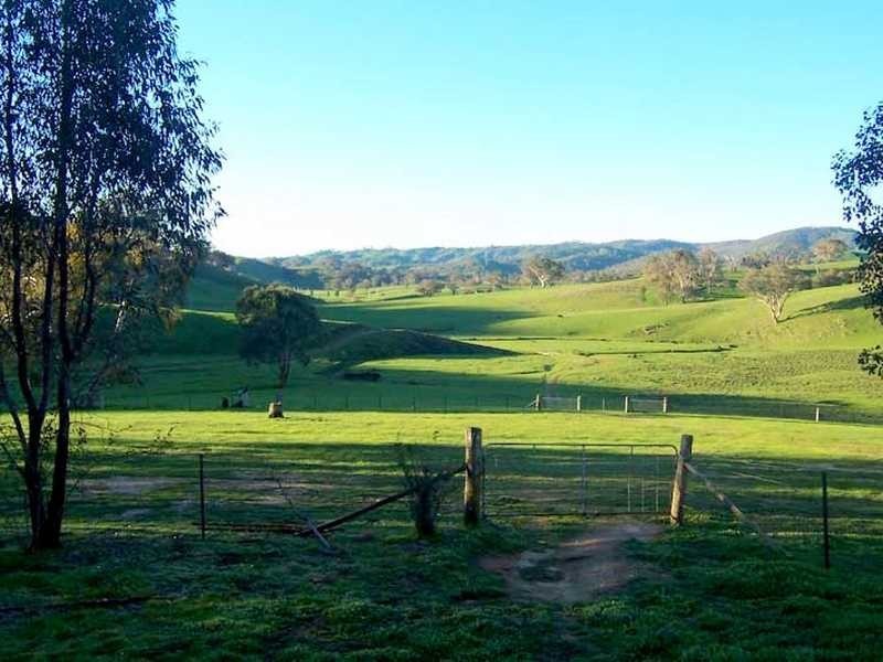 349 Scholz Road, Mount Adrah NSW 2729