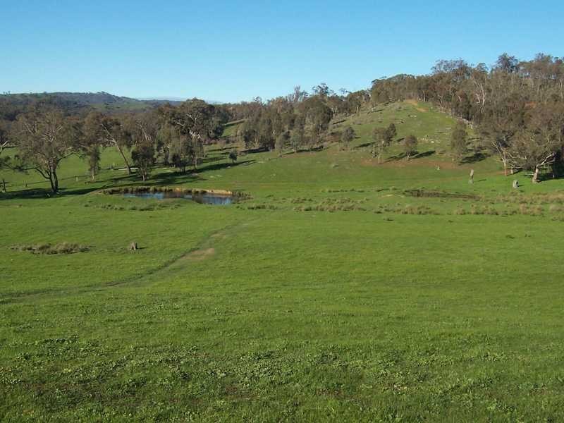 349 Scholz Road, Mount Adrah NSW 2729
