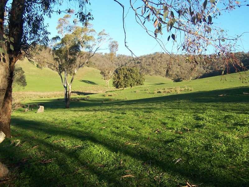 349 Scholz Road, Mount Adrah NSW 2729