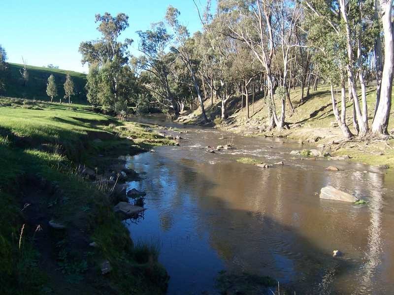 349 Scholz Road, Mount Adrah NSW 2729