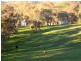 349 Scholz Road, Mount Adrah NSW 2729