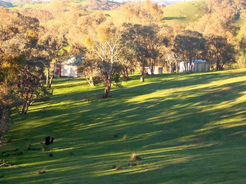 349 Scholz Road, Mount Adrah NSW 2729