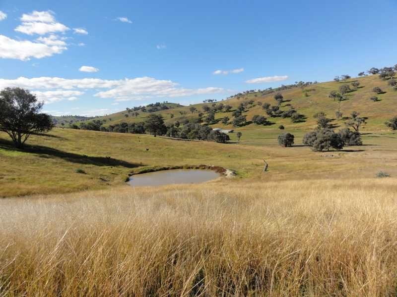 912 Burra Road, Gundagai NSW 2722