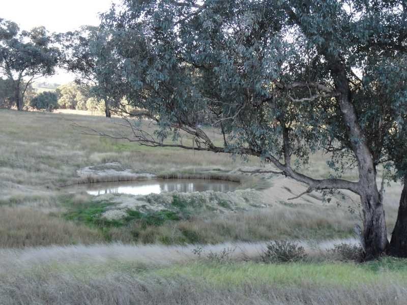 912 Burra Road, Gundagai NSW 2722
