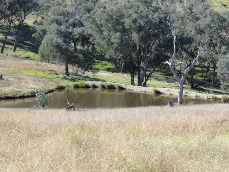 912 Burra Road, Gundagai NSW 2722