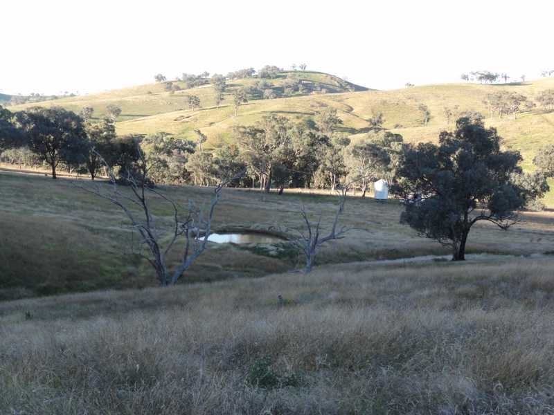 912 Burra Road, Gundagai NSW 2722