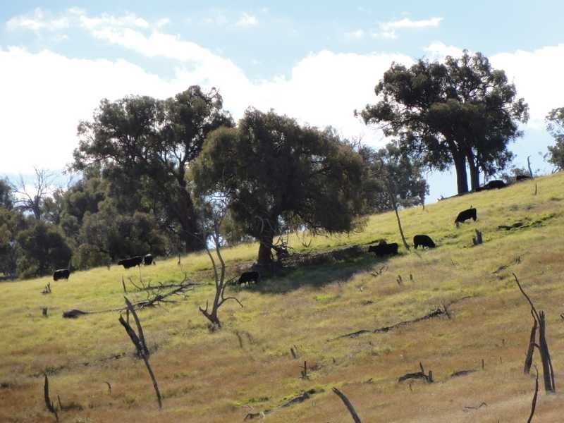 912 Burra Road, Gundagai NSW 2722