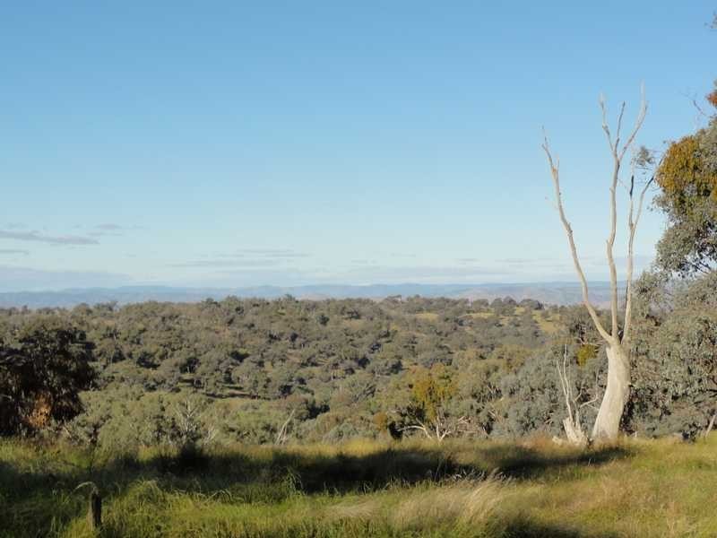 912 Burra Road, Gundagai NSW 2722