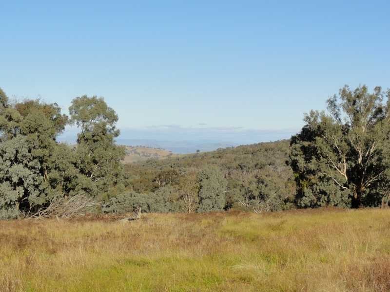 912 Burra Road, Gundagai NSW 2722