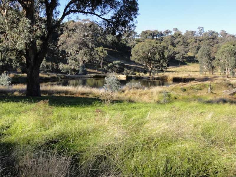912 Burra Road, Gundagai NSW 2722