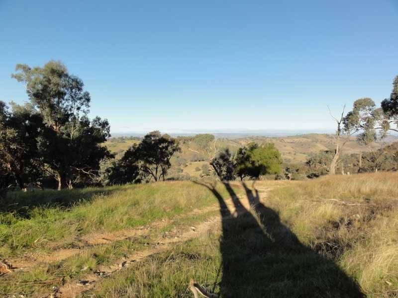 912 Burra Road, Gundagai NSW 2722