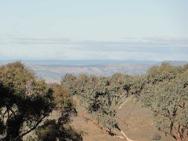 912 Burra Road, Gundagai NSW 2722
