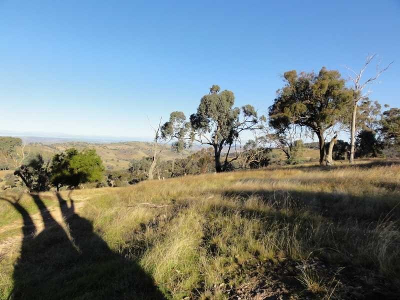 912 Burra Road, Gundagai NSW 2722