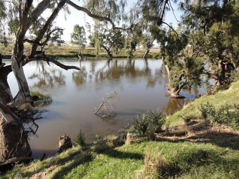 328 Sandy Falls Road, Coolac NSW 2727