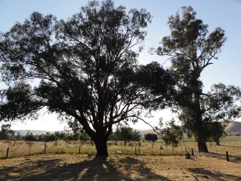 328 Sandy Falls Road, Coolac NSW 2727