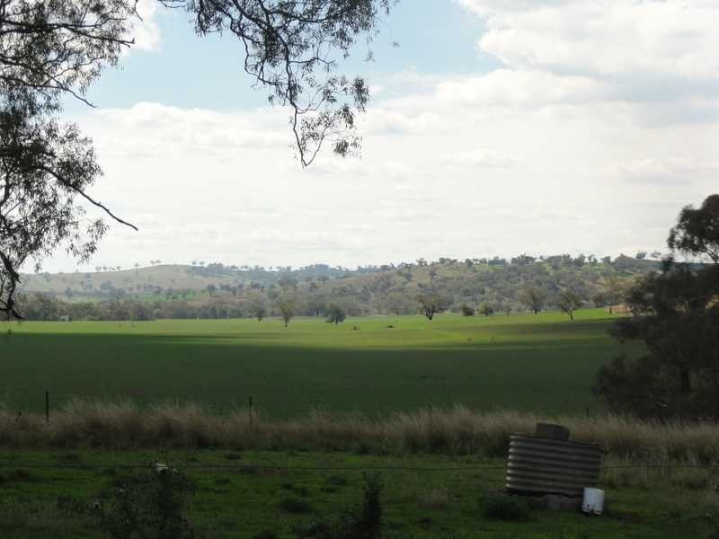 Old School Residence Bridge Street, Muttama NSW 2722