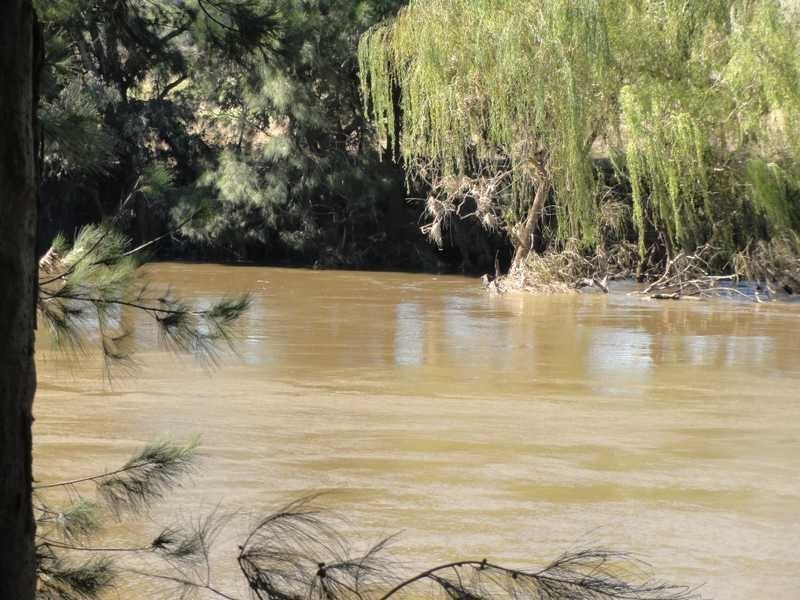 Nargoon – Cellar Door Nangus Road, Gundagai NSW 2722