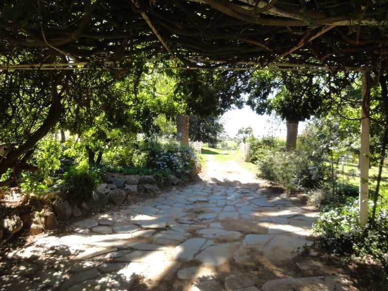 Nargoon Nangus Road, Gundagai NSW 2722