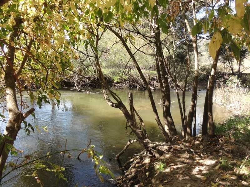 2088 Darbalara Road, Gundagai NSW 2722