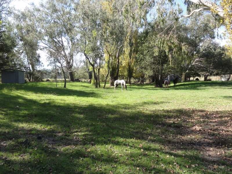2088 Darbalara Road, Gundagai NSW 2722