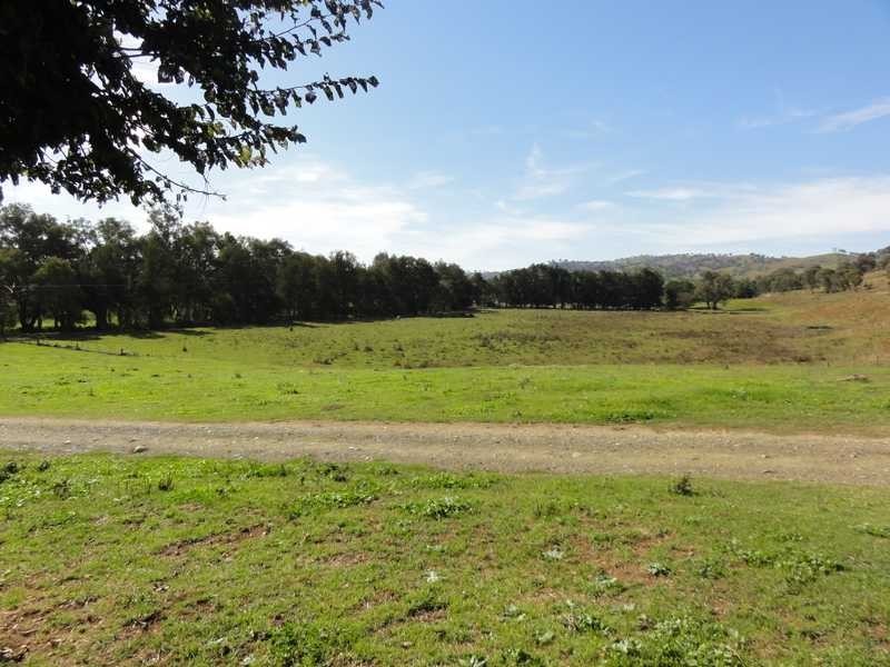 2088 Darbalara Road, Gundagai NSW 2722