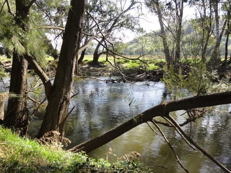 2088 Darbalara Road, Gundagai NSW 2722