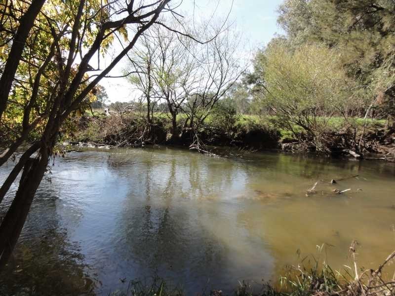 2088 Darbalara Road, Gundagai NSW 2722
