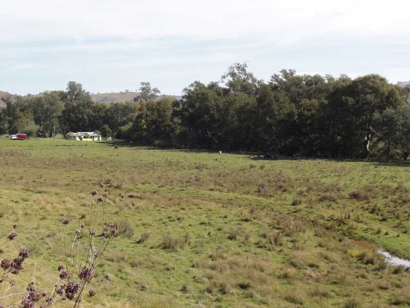 2088 Darbalara Road, Gundagai NSW 2722
