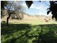 2088 Darbalara Road, Gundagai NSW 2722