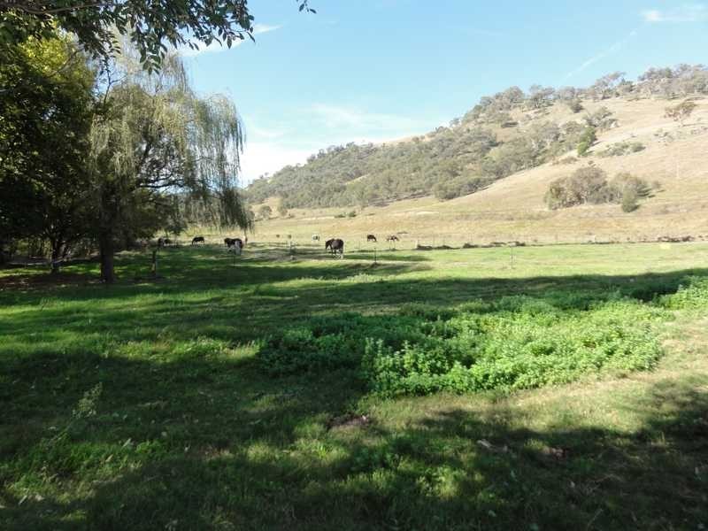 2088 Darbalara Road, Gundagai NSW 2722