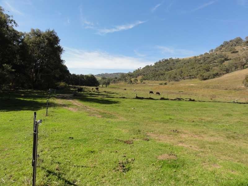 2088 Darbalara Road, Gundagai NSW 2722