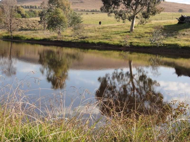 101 Old Burkleigh Estate Burra Road, Gundagai NSW 2722