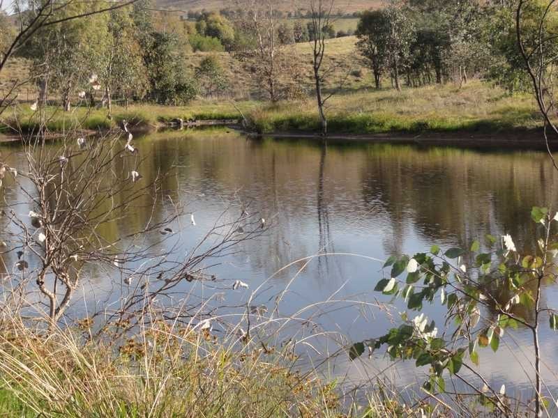 101 Old Burkleigh Estate Burra Road, Gundagai NSW 2722