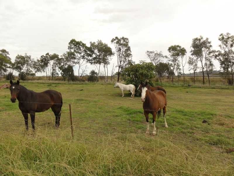 Lot/1 Jessops Lagoon Road, Gundagai NSW 2722