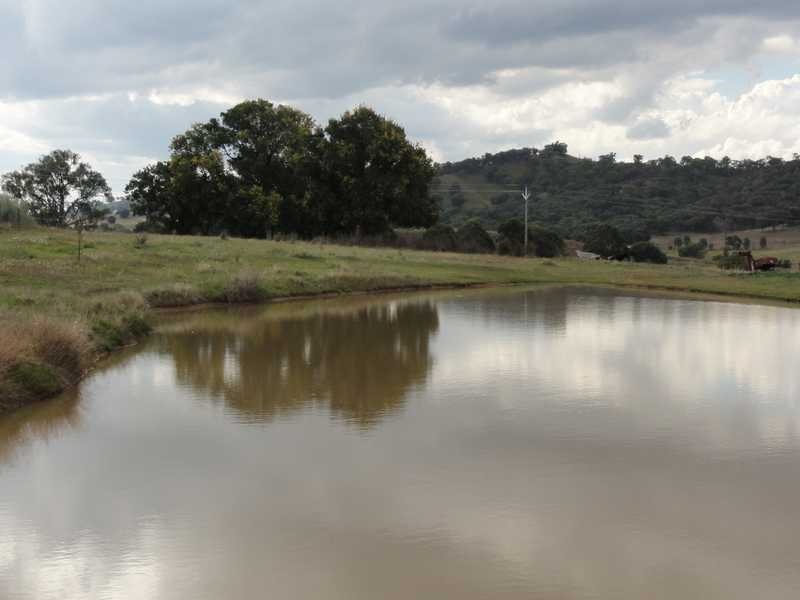 Lot/2 Sylvia’s Gap Road, Tumblong NSW 2729