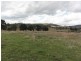 Lot/2 Sylvia’s Gap Road, Tumblong NSW 2729
