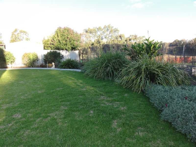 164 Punch Street, Gundagai NSW 2722