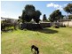 38 Luke Street, Gundagai NSW 2722