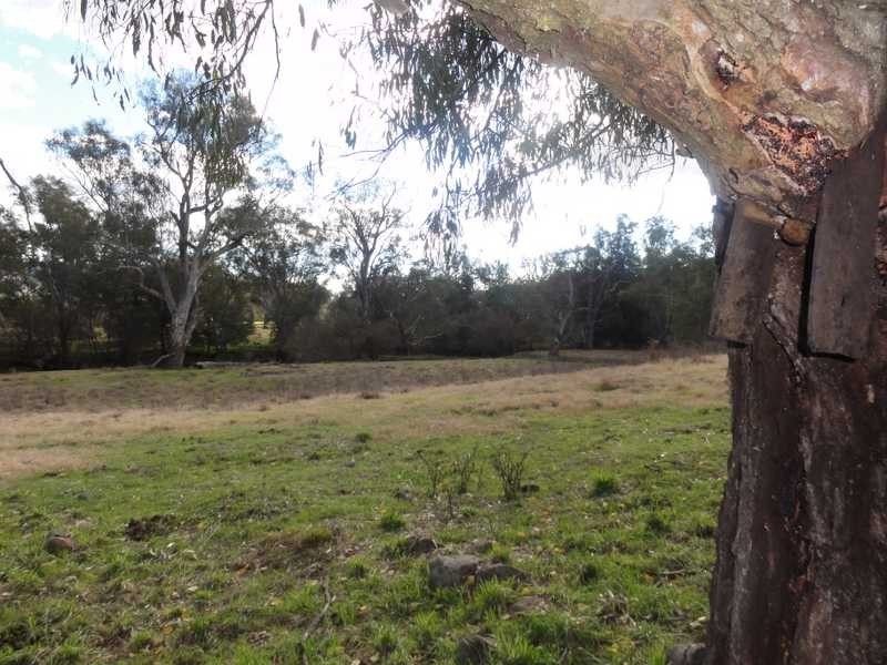 Lot/268 Brungle Road, Gundagai NSW 2722