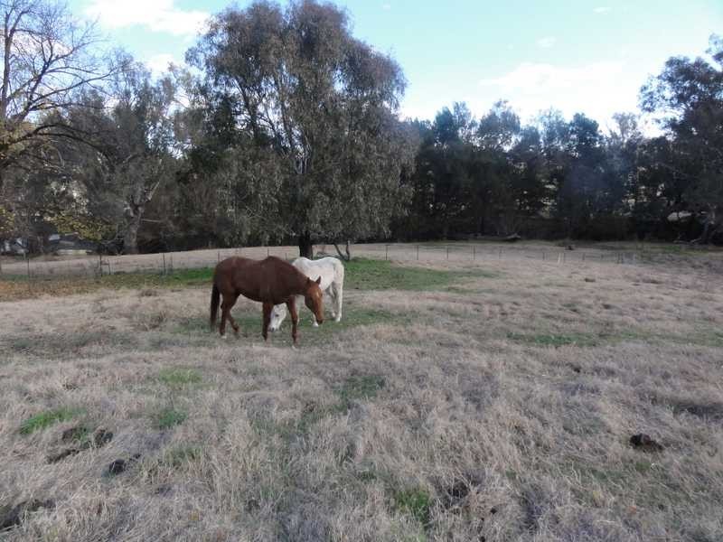 Lot/268 Brungle Road, Gundagai NSW 2722