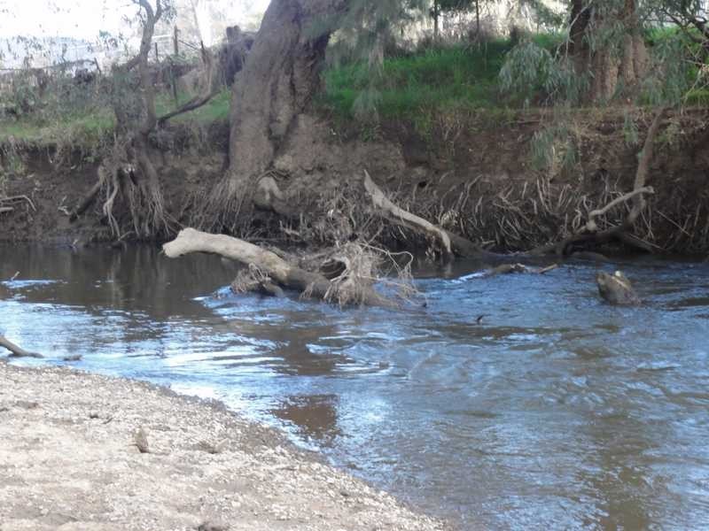 Lot/268 Brungle Road, Gundagai NSW 2722