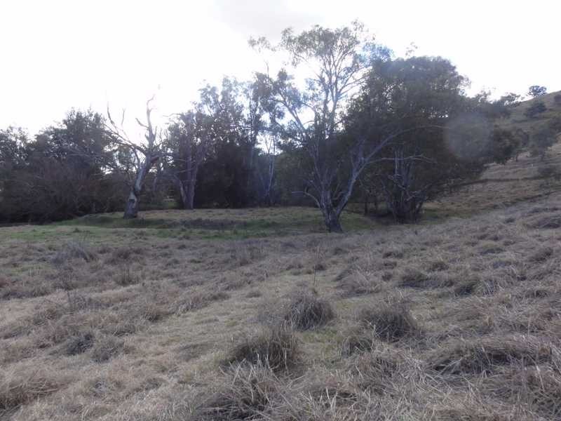 Lot/268 Brungle Road, Gundagai NSW 2722