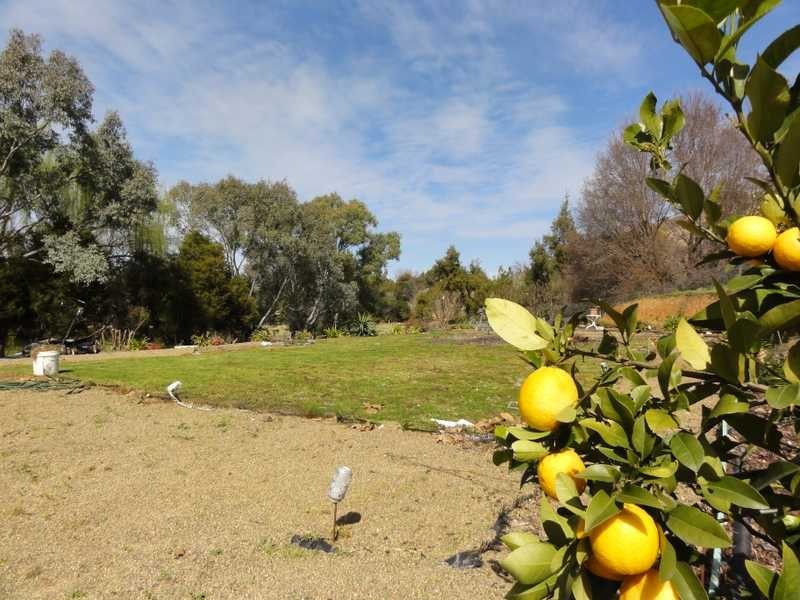 168 Punch Street, Gundagai NSW 2722