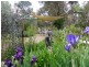Lot 2 Sheahan Street, Jugiong NSW 2726