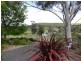 Lot 2 Sheahan Street, Jugiong NSW 2726