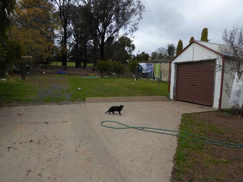 50 Mount Street, Gundagai NSW 2722