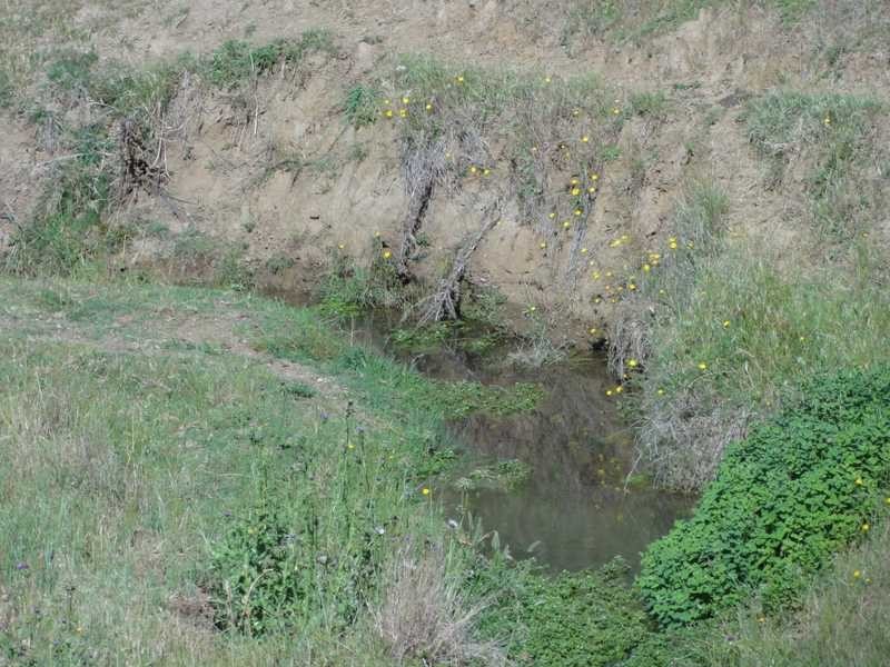 1 Tarrabandra Road, Gundagai NSW 2722