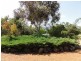 Lot 5 Willow Lane, Adelong NSW 2729
