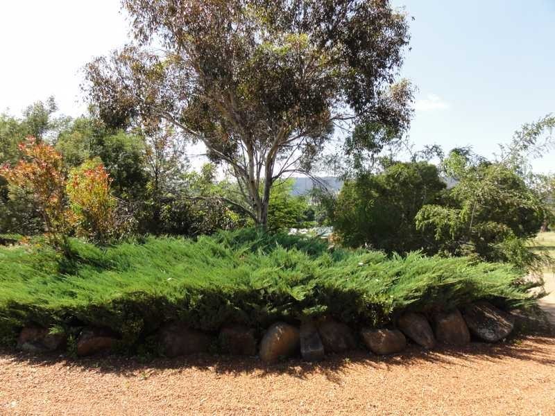 Lot 5 Willow Lane, Adelong NSW 2729