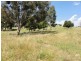 Lot 5 Willow Lane, Adelong NSW 2729